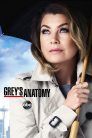 imagen Anatomía de Grey (Grey's Anatomy)